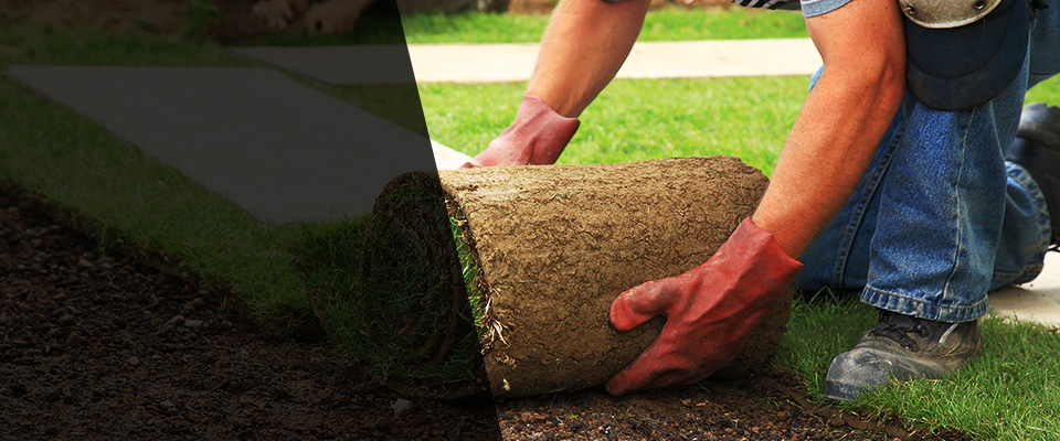 Lake City Landscapers